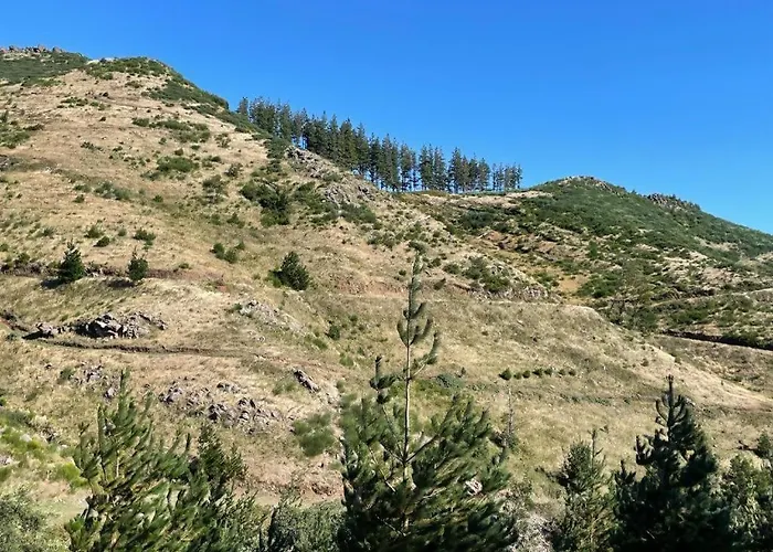 Mountain Eco Shelter 2 Funchal (Madeira)