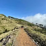 Campo de lujo Mountain Eco Shelter 2